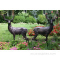 Vida jardín tamaño bronce Deerr estatua